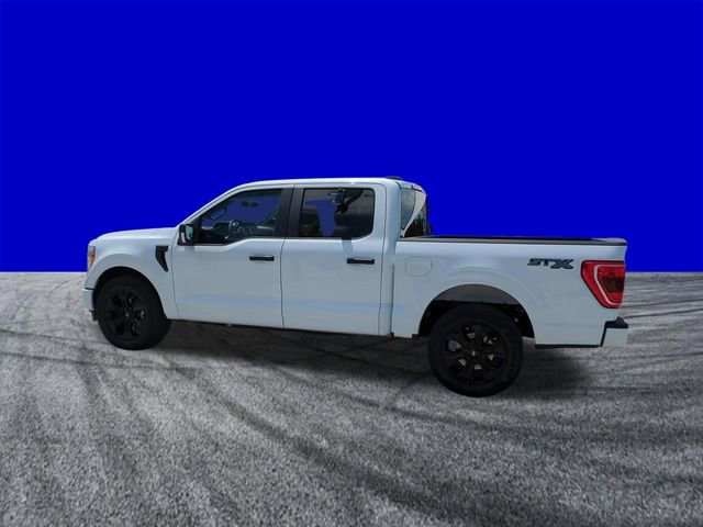 Certified 2022 Ford F150 XL w/ STX Black Appearance Package RWD image 7