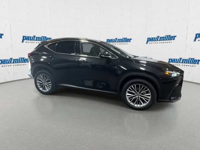 Used 2023 Lexus NX 350h AWD image 13