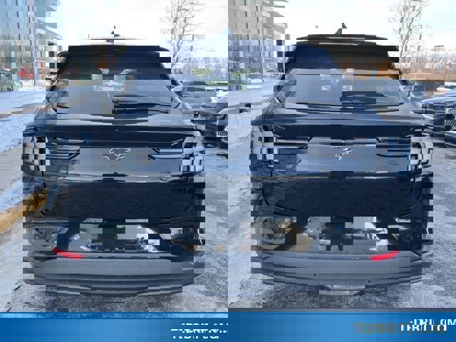 Certified 2025 Ford Mustang Mach-E Premium w/ Interior Protection Package image 4