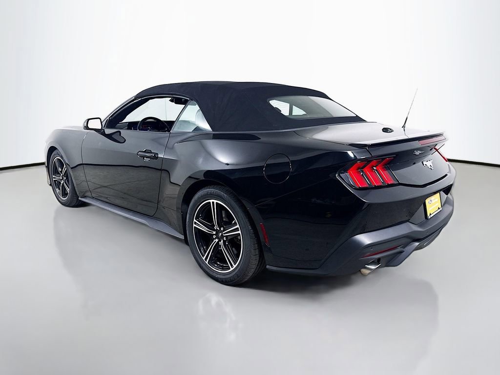 Certified 2024 Ford Mustang Premium image 3