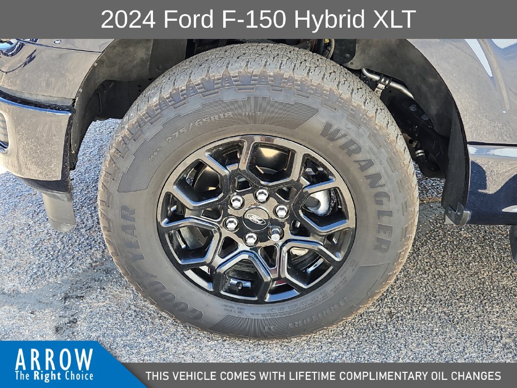 Certified 2024 Ford F150 XLT w/ Equipment Group 302A MID AWD/4WD image 17