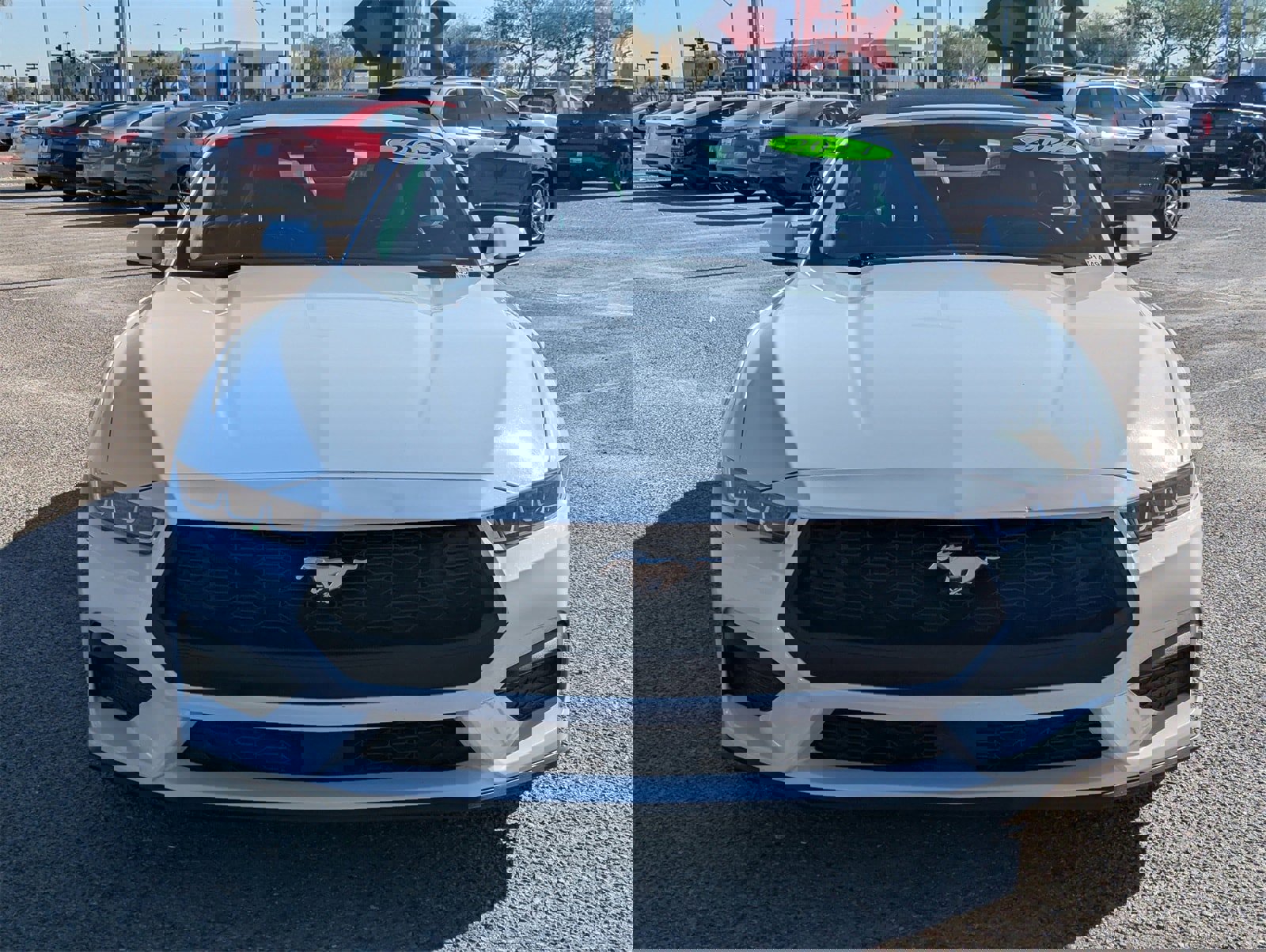 Certified 2024 Ford Mustang Premium image 8