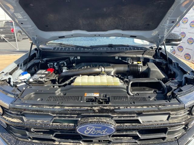 Certified 2025 Ford Expedition Active image 17