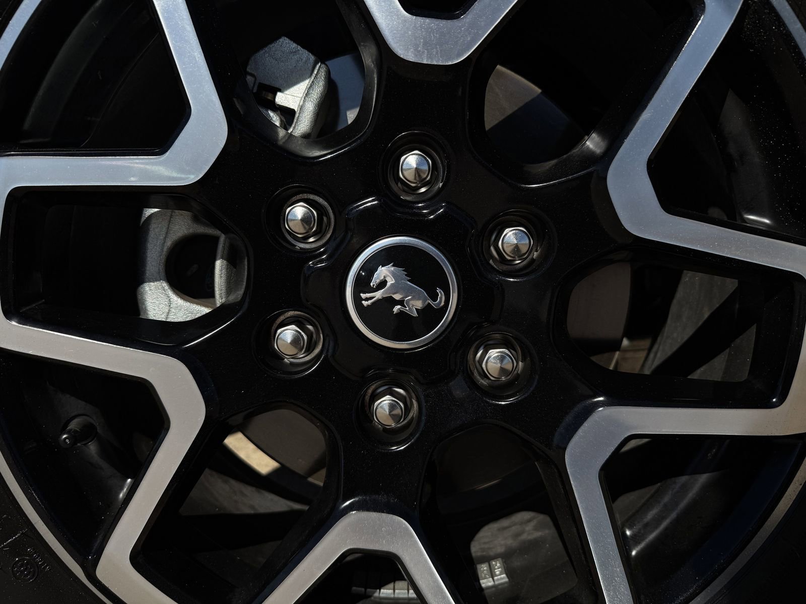 Certified 2025 Ford Bronco Outer Banks image 10