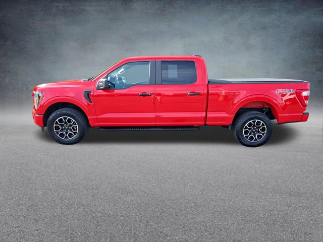 Certified 2023 Ford F150 XL w/ STX Appearance Package AWD/4WD image 4