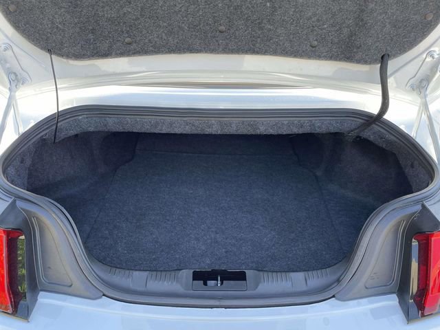 Certified 2019 Ford Mustang Premium w/ Equipment Group 201A RWD image 14