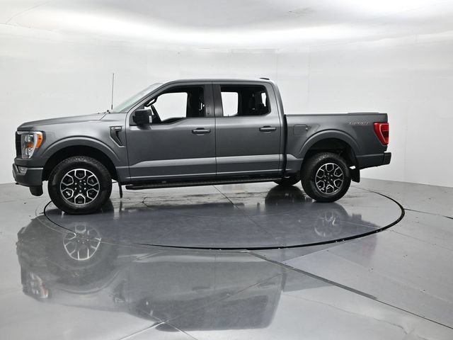 Certified 2023 Ford F150 XLT w/ Equipment Group 302A High AWD/4WD image 6
