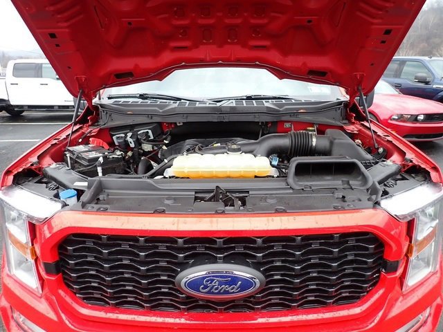 Certified 2022 Ford F150 XL w/ STX Appearance Package image 15