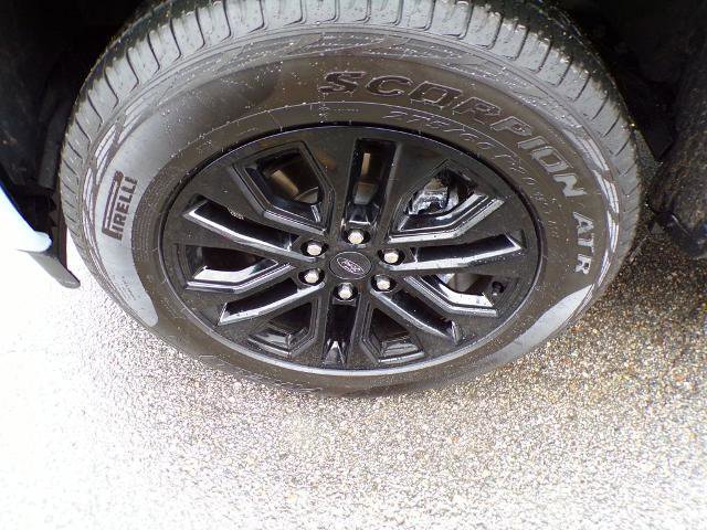 Certified 2025 Ford F150 XLT w/ Equipment Group 303A High image 8