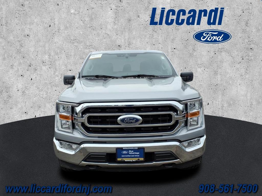 Certified 2023 Ford F150 XLT w/ Equipment Group 301A Mid image 2