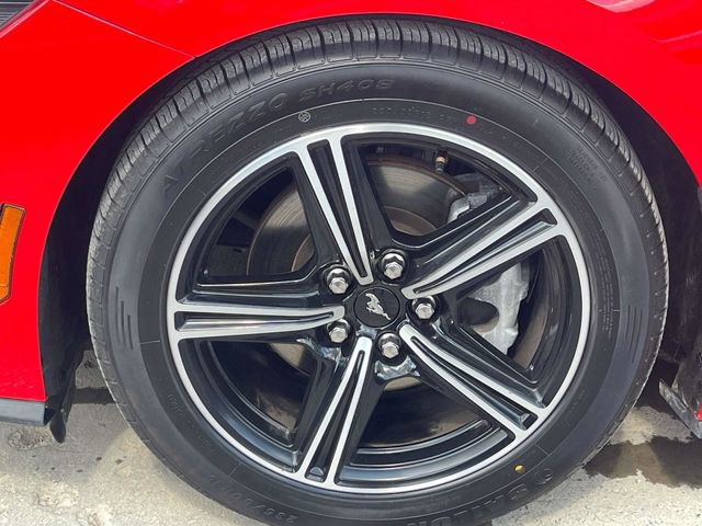 Certified 2024 Ford Mustang Premium RWD image 14