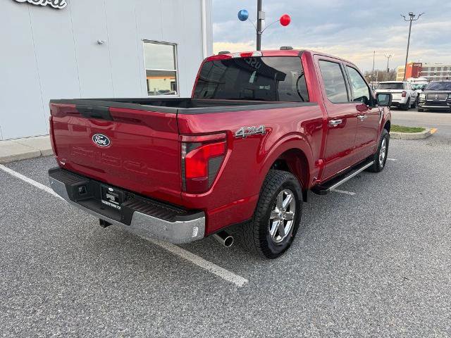 Certified 2025 Ford F150 XLT w/ Equipment Group 301A Standard image 5