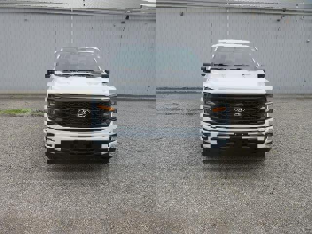 Certified 2024 Ford F150 STX w/ STX Black Appearance Package image 8