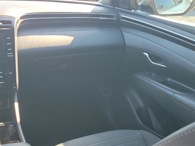 Used 2022 Hyundai Santa Cruz SEL Premium image 14