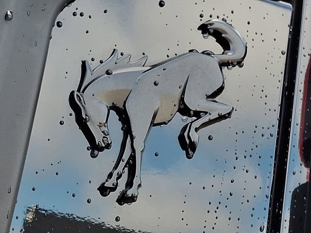 Certified 2024 Ford Bronco Raptor image 29