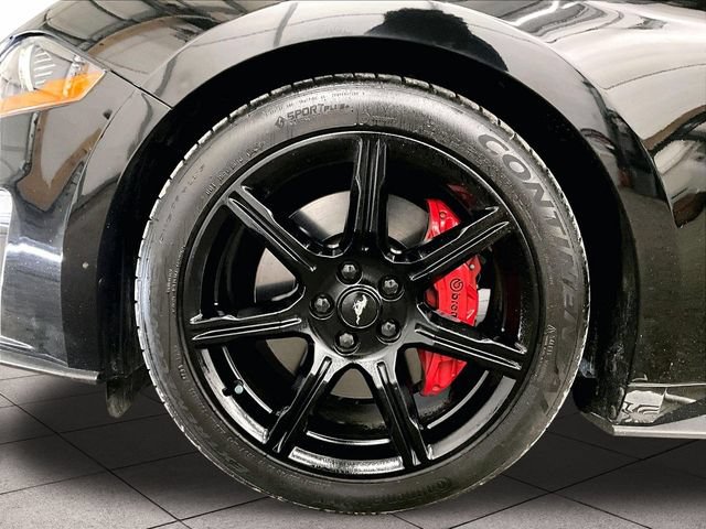 Certified 2019 Ford Mustang GT Premium w/ Black Accent Package RWD image 8