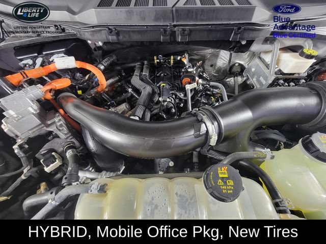 Certified 2024 Ford F150 XLT w/ Equipment Group 302A MID AWD/4WD image 34