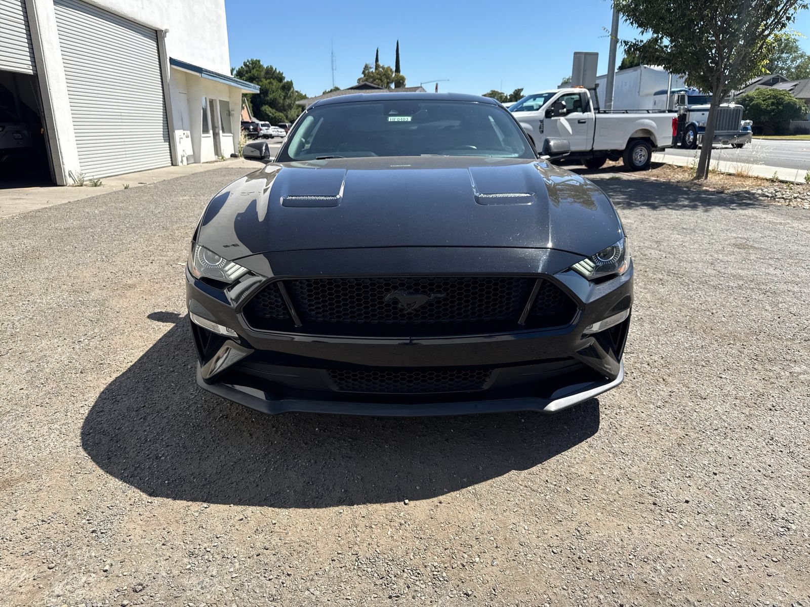 Certified 2022 Ford Mustang GT w/ Equipment Group 301A RWD image 8