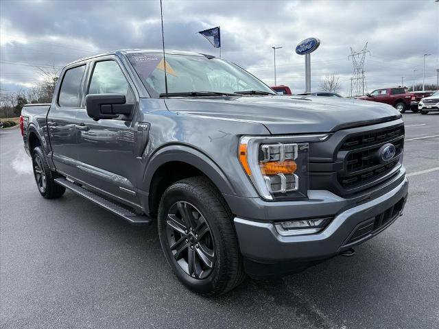 Certified 2023 Ford F150 XLT w/ Equipment Group 302A High image 2