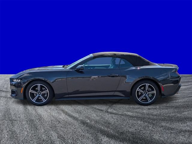 Certified 2024 Ford Mustang Premium RWD image 7