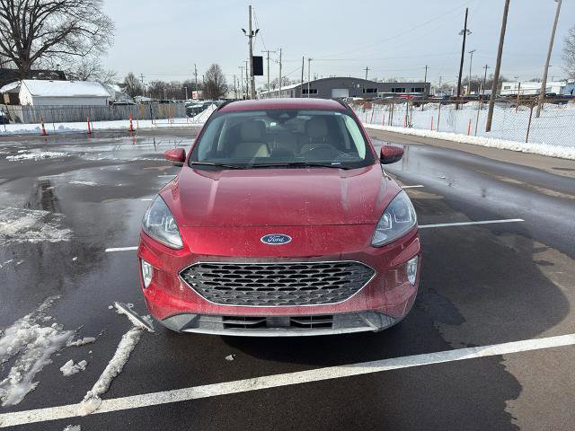 Certified 2022 Ford Escape SEL image 7