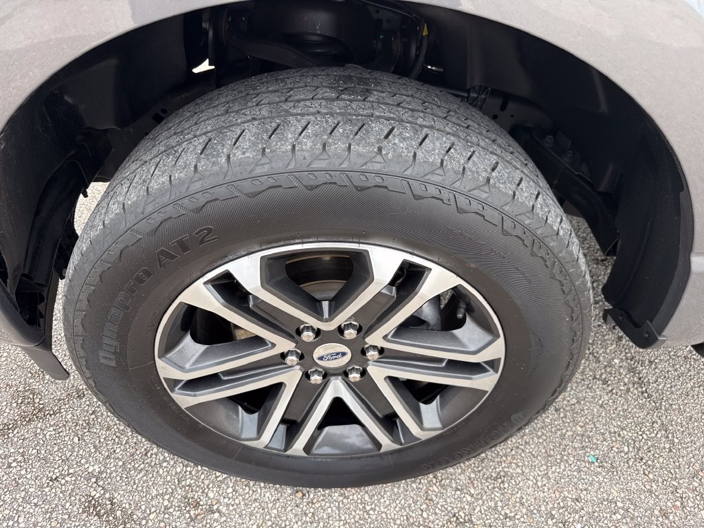 Certified 2023 Ford F150 XL w/ STX Appearance Package AWD/4WD image 13