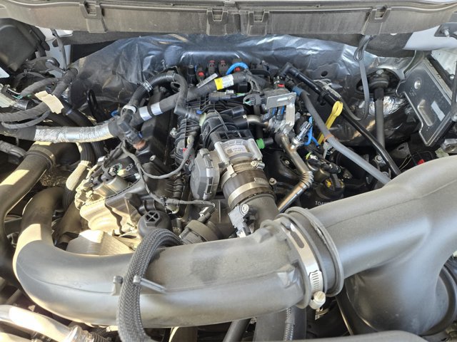 Certified 2024 Ford F150 STX image 29