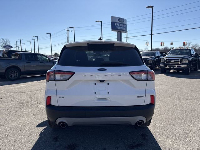 Certified 2020 Ford Escape SE Sport image 8