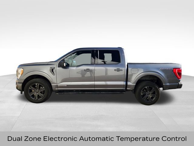 Certified 2023 Ford F150 XLT w/ Equipment Group 302A High image 2