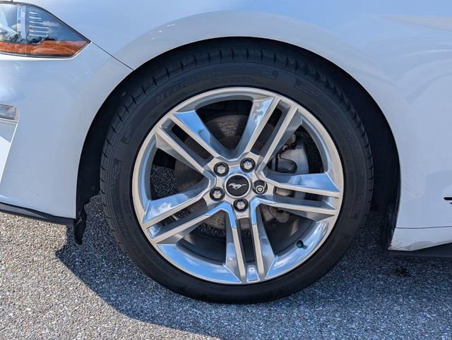 Certified 2021 Ford Mustang Premium w/ Equipment Group 201A image 7