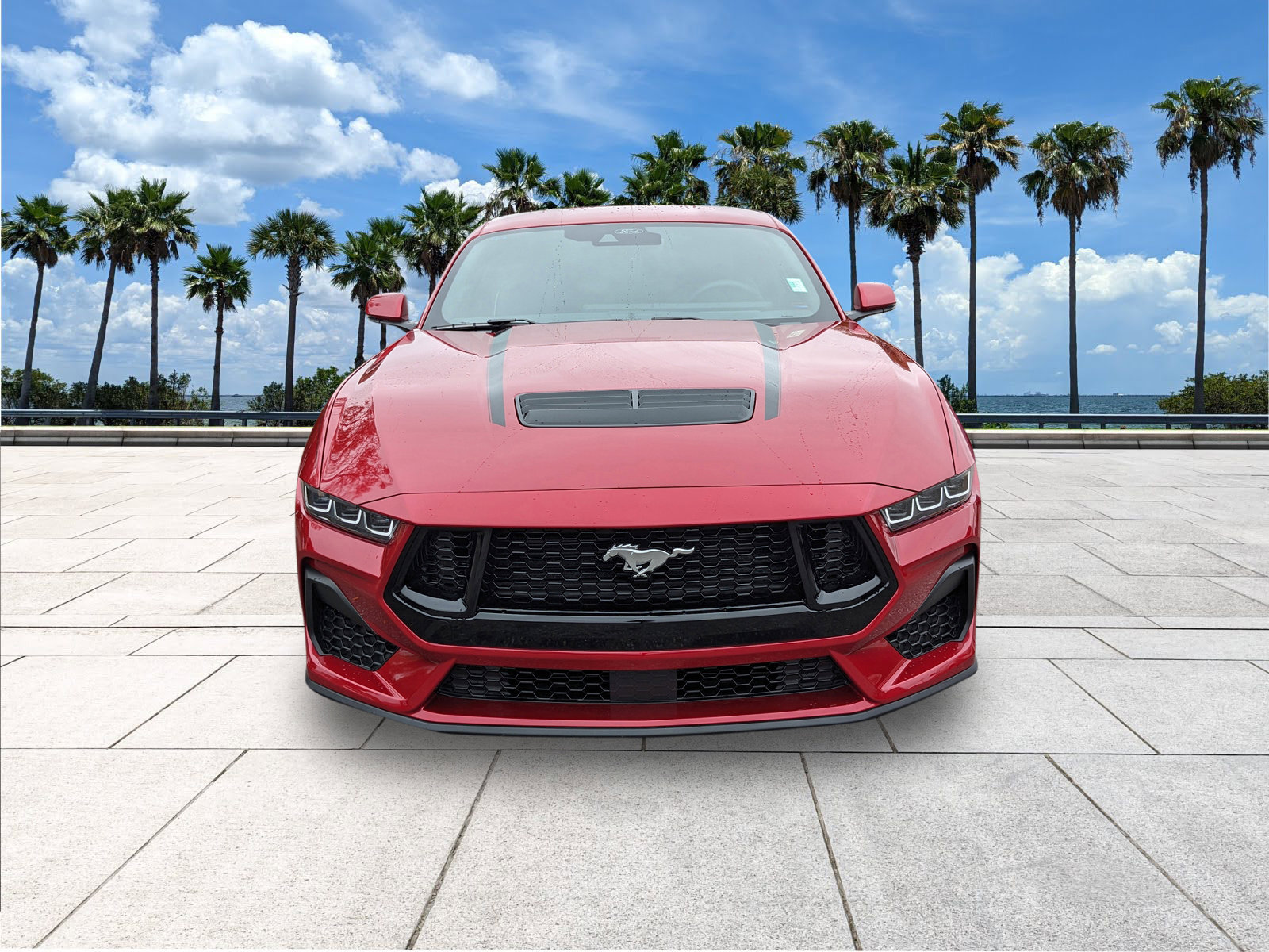 Certified 2024 Ford Mustang GT Premium image 3