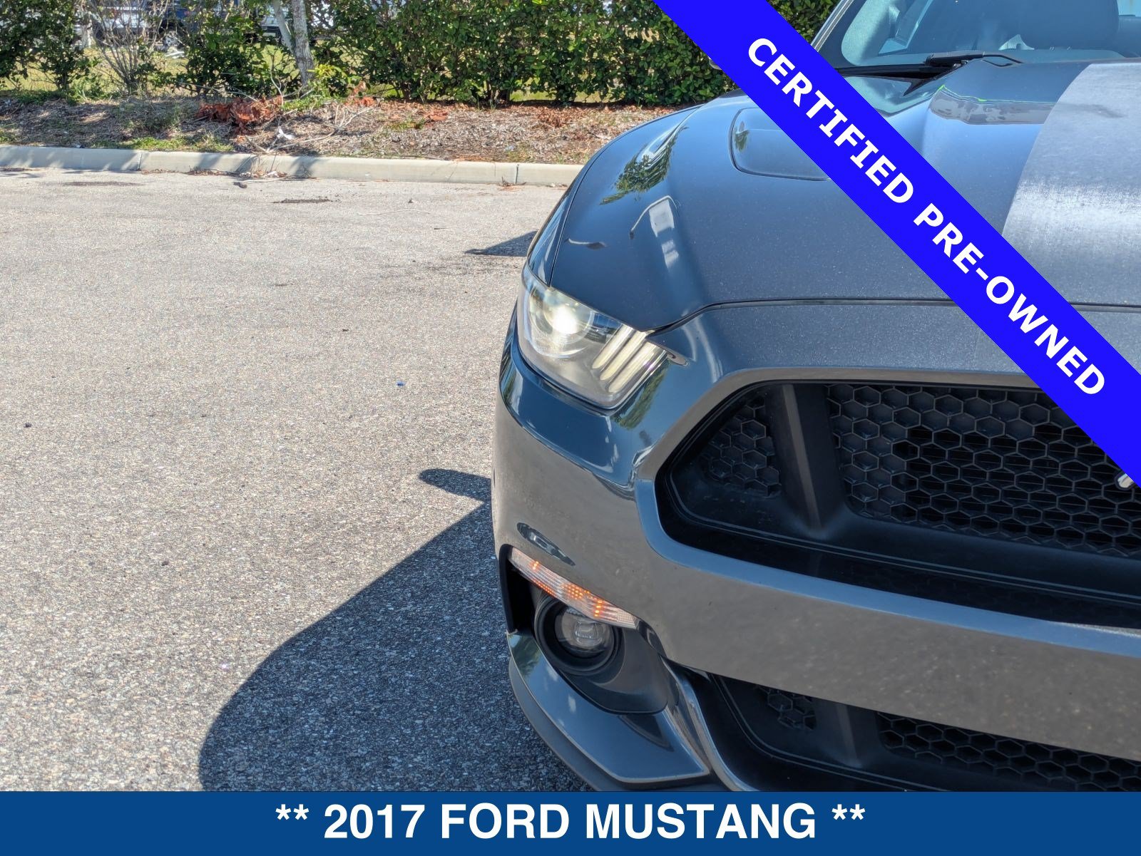 Certified 2017 Ford Mustang GT Premium w/ Equipment Group 401A RWD image 9