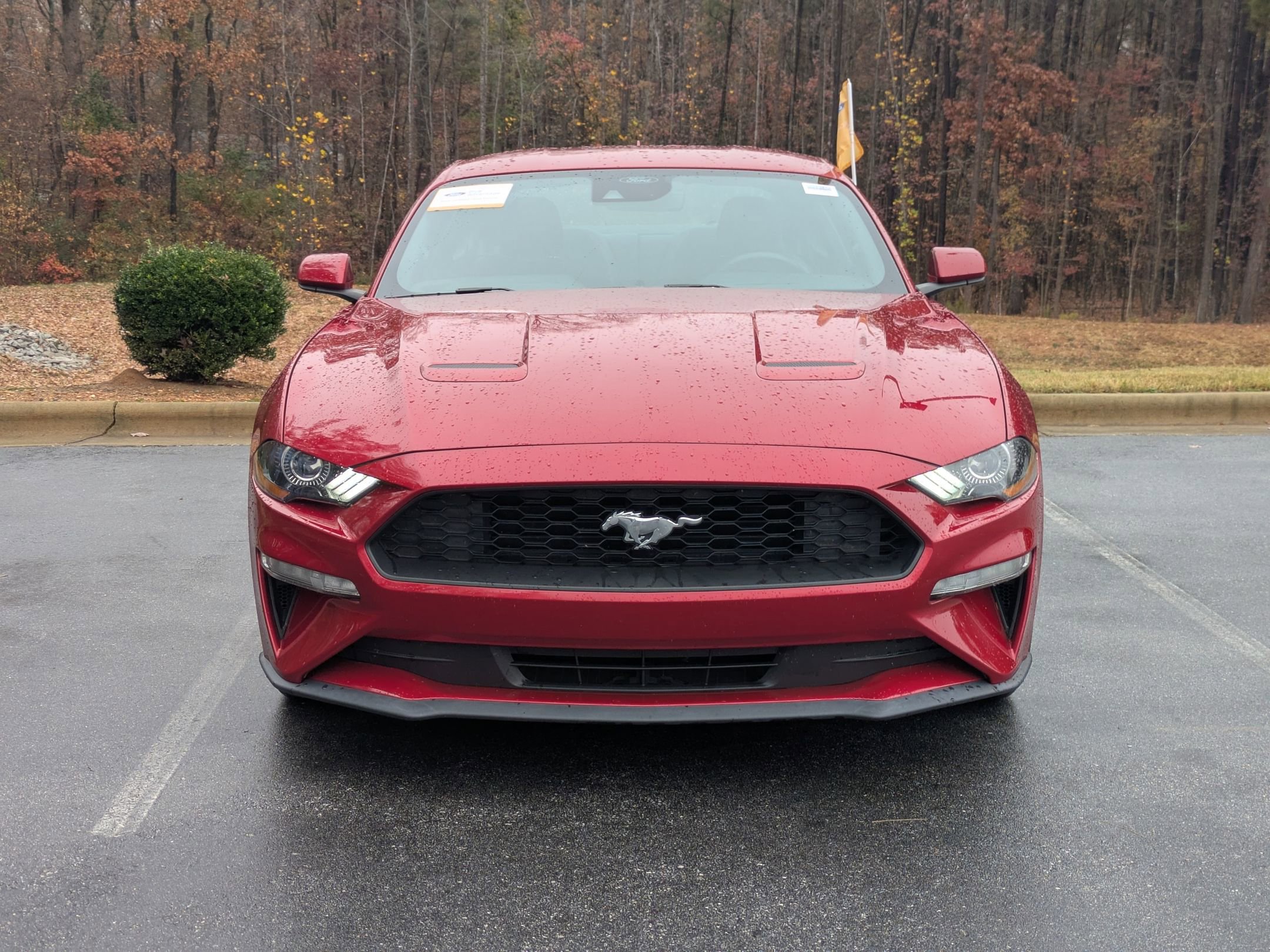 Certified 2022 Ford Mustang EcoBoost w/ Equipment Group 101A image 7