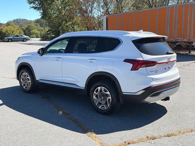 Used 2023 Hyundai Santa Fe Blue AWD/4WD image 4