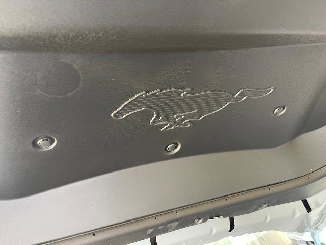 Certified 2025 Ford Mustang Mach-E Premium image 29