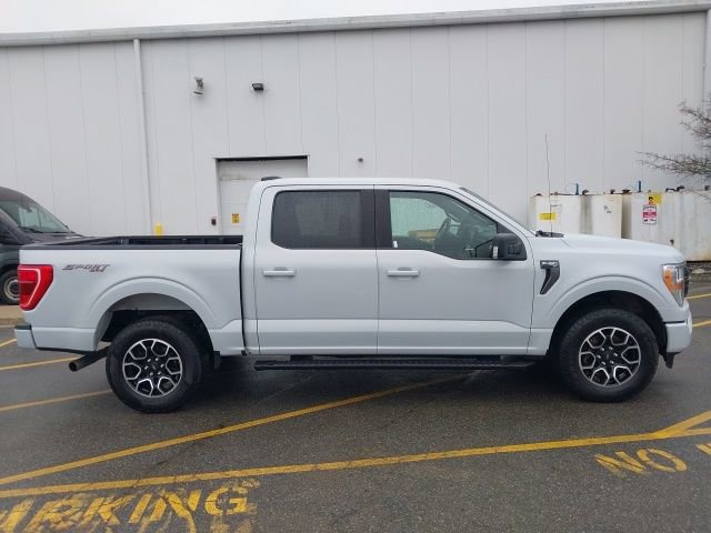 Certified 2021 Ford F150 XLT w/ Equipment Group 301A Mid image 6