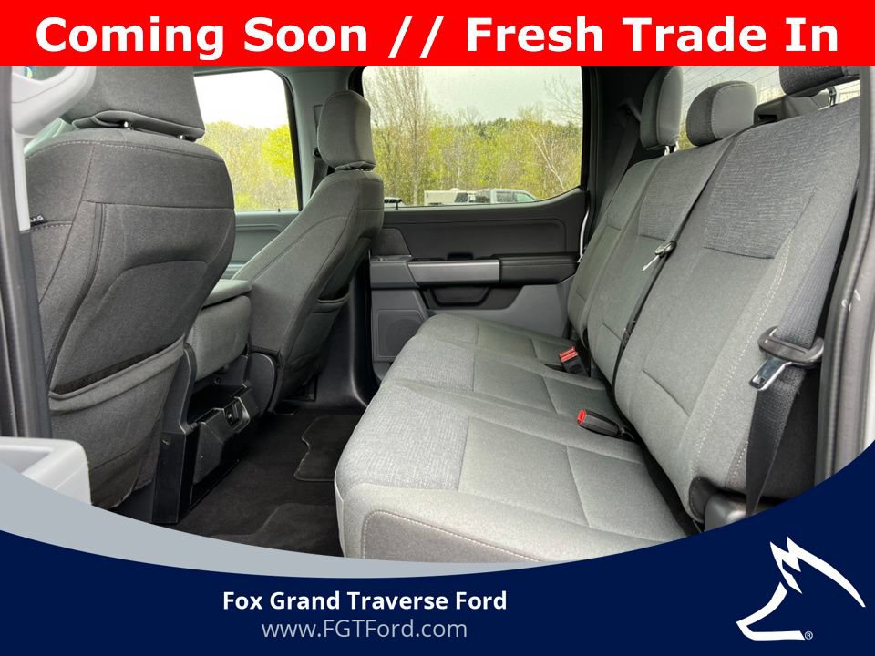 Certified 2025 Ford F150 XLT w/ Equipment Group 301A Standard AWD/4WD image 5