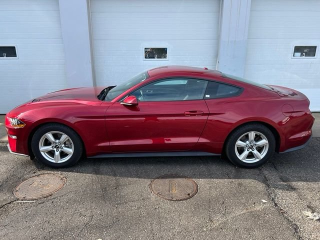 Certified 2019 Ford Mustang Coupe RWD image 3