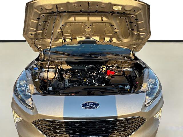 Certified 2022 Ford Escape SEL image 22