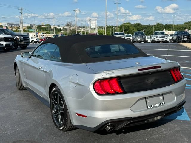 Certified 2019 Ford Mustang Premium RWD image 3