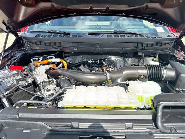 Certified 2025 Ford F150 King Ranch image 23