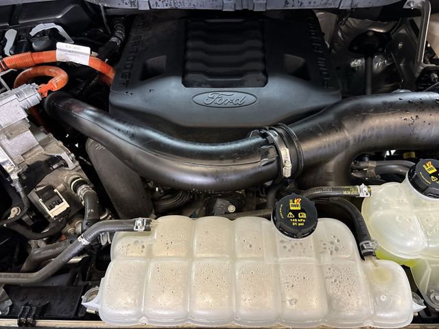 Certified 2023 Ford F150 XLT w/ Equipment Group 302A High image 19