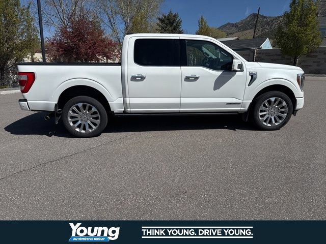 Certified 2023 Ford F150 Limited AWD/4WD image 12