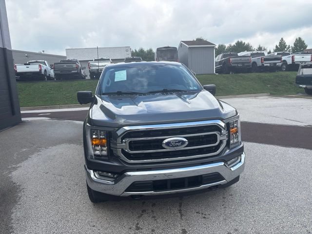 Certified 2023 Ford F150 XLT w/ Equipment Group 302A High AWD/4WD image 12