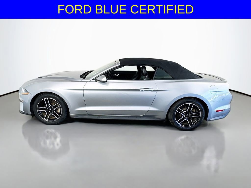 Certified 2023 Ford Mustang Premium image 6
