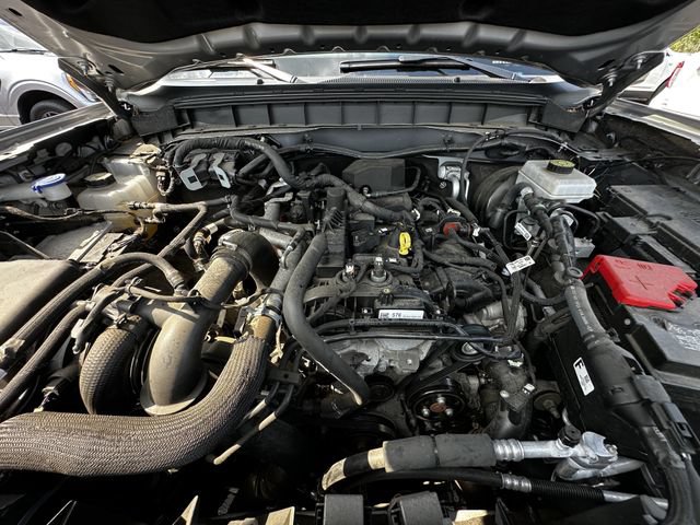 Certified 2024 Ford Bronco Black Diamond AWD/4WD image 33