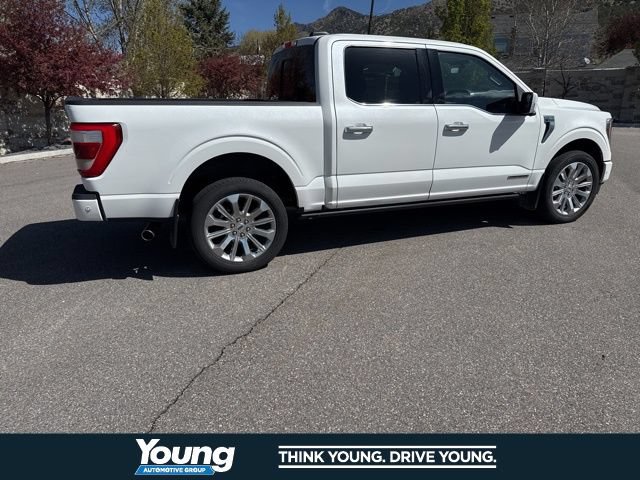 Certified 2023 Ford F150 Limited AWD/4WD image 11