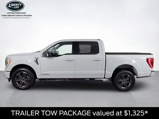 Certified 2023 Ford F150 XLT w/ Equipment Group 302A High image 2