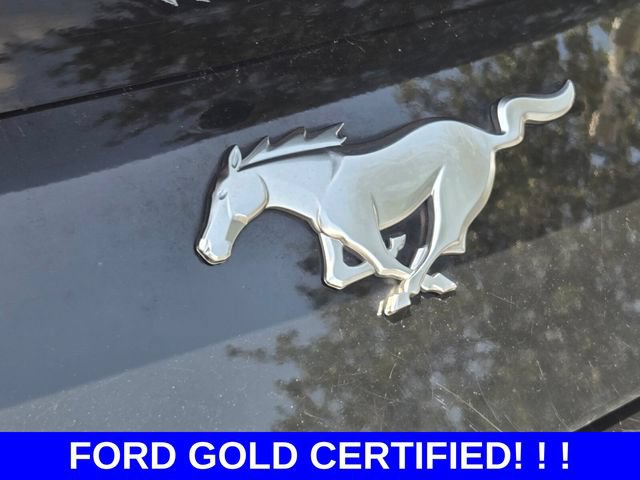 Certified 2024 Ford Mustang Premium RWD image 13