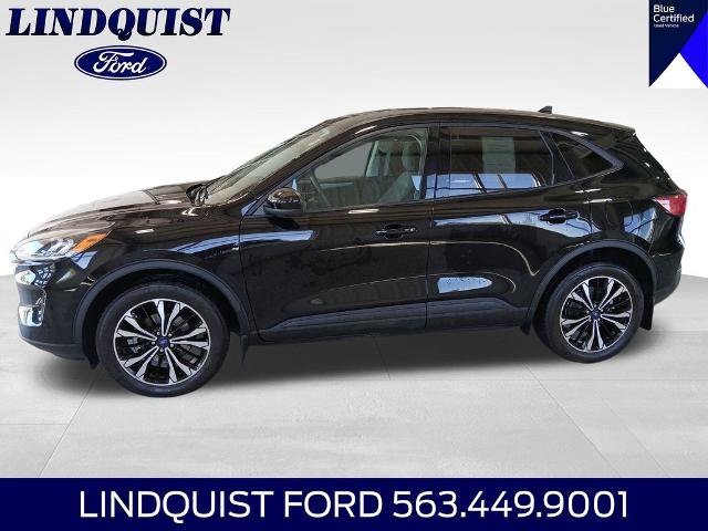 Certified 2022 Ford Escape SE w/ SE Sport Appearance Package AWD/4WD image 3